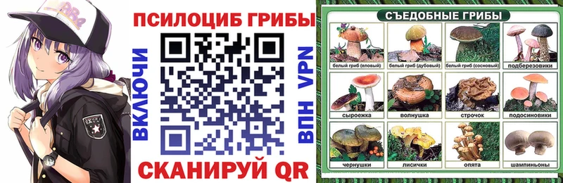 Галлюциногенные грибы мухоморы  Пролетарск 